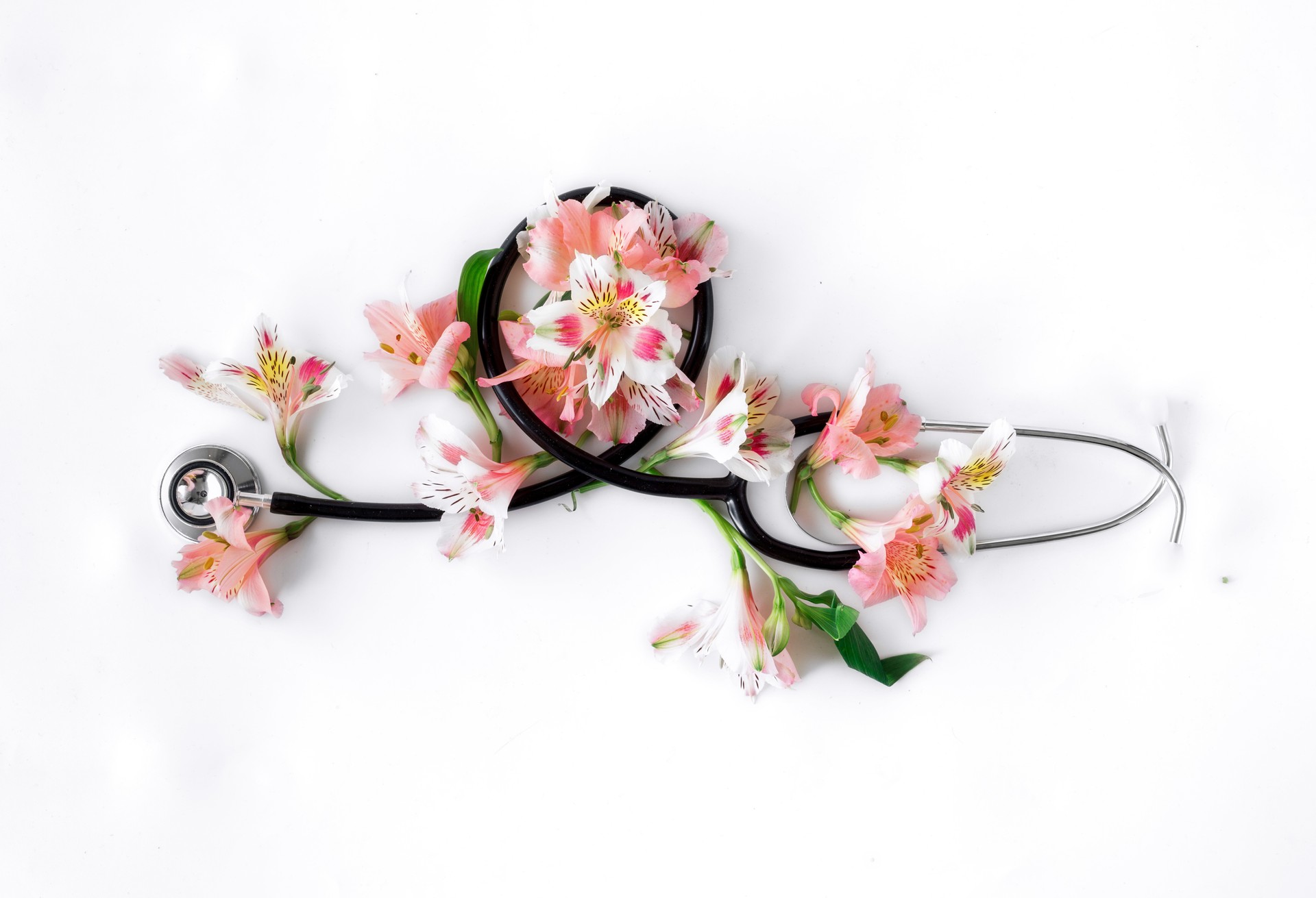 Flat lay stethoscope with alstroemeria on white background